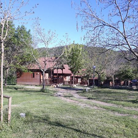 Camping - Bungalows La Soleia D'Oix Kültér fotó
